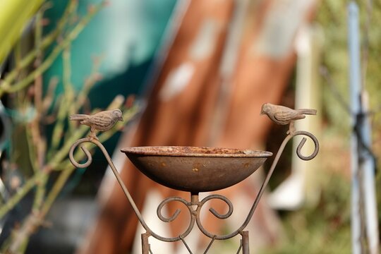 Old beautiful rusty decorative bird bath in garden with a birds theme. High quality photo