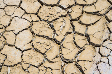 Cracked ground,Dry land. Cracked ground background,Dry cracked ground filling the frame as background