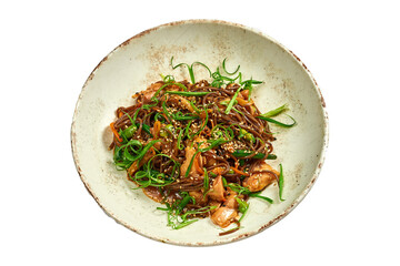 Buckwheat noodles wok in teriyaki sauce with chicken in a plate on a white background.