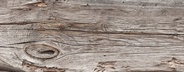  Naturalne tło niejednolitych starych grubych drewnianych desek z teksturą korozji drewna.. Kolory brązu. Tapeta. - obrazy, fototapety, plakaty