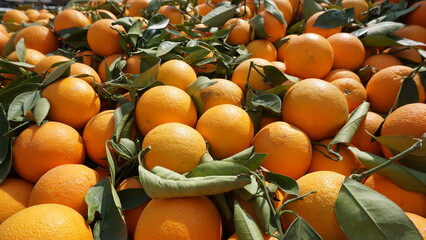 stacked oranges and green leaves