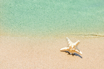 Fototapeta na wymiar Starfish on a beach sand. Sea star on nature background.
