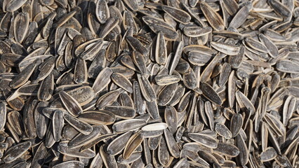 a lot of salty sunflower seeds