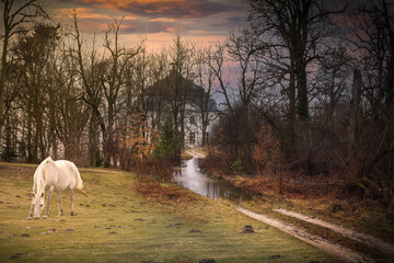 Fairy-tale images of nature - nostalgic landscape images.