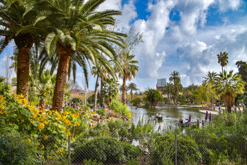 Fototapeta na wymiar See mit Palmen im Parc de la Ciutadella in Barcelona