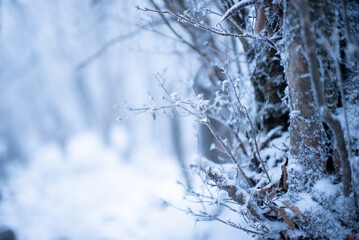 高見山 雪景色 銀世界 冬登山