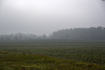 Fototapeta na wymiar Winter Landschaft in der Lüneburger Heide, Niedersachsen