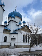 Russian orthodox church, white walls and blue cupolas  © Oksana