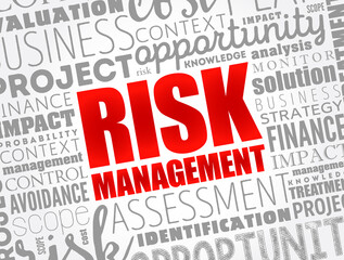 Risk Management - process of identifying, assessing and controlling threats to an organization's capital and earnings, word cloud concept background