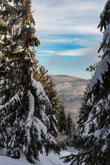Travny hill from hiking trail between Lysa hora and Krasna in winter Moravskoslezske Beskydy...