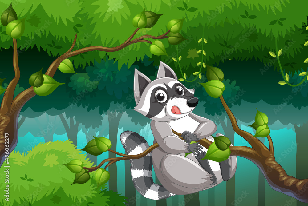 Wall mural Raccoon climbing tree in forest