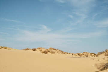 Fototapeta na wymiar Sand dunes with grass bushes, sky with feather clouds. Desert dunes on the Black Sea coast