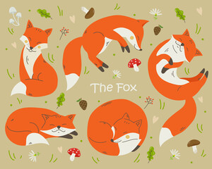 Foxes sleep in the forest. Flat style, pastel colors. Mushrooms, berries, leaves, forest animal character. Pattern vector