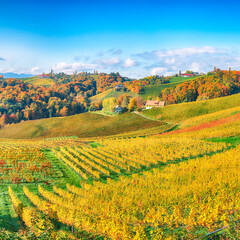 Stunning vineyards landscape in South Styria near Gamlitz.