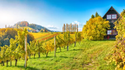 Zelfklevend Fotobehang Fabulous vineyards landscape in South Styria near Gamlitz. © pilat666