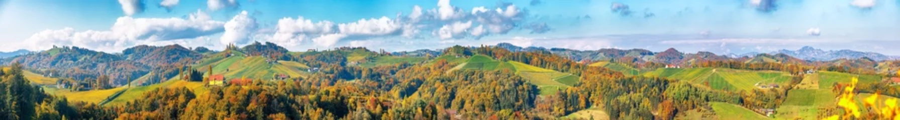 Foto op Canvas Splendid vineyards landscape in South Styria near Gamlitz. © pilat666