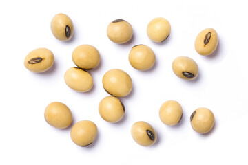 Soy bean on a white background