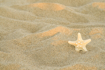 Beach with sea star on sand. Summer holiday background.