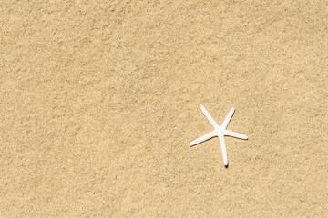 Top view of sandy background with Starfish. Free space for text.