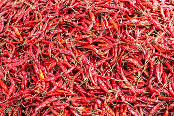 Dried red chili peppers on a bright day close up top view