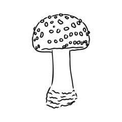 Handdrawn fly-agaric doodle icon. Hand drawn black sketch. Sign cartoon symbol. Decoration element. White background. Isolated. Flat design. Vector illustration.