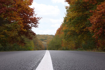 Naklejka premium Beautiful view of asphalt highway going through autumn forest