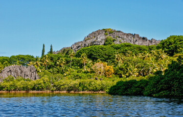 Fototapeta na wymiar The virgin nature of New Caledonia with its beautiful landscapes