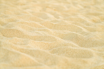 Sand background. Texture sandy beach. Copy space, banner