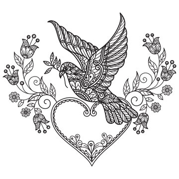 Dove and flowers hand drawn for adult coloring book