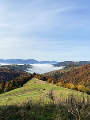 Naklejka premium Ukrainian carpathians mountain landscape in summer