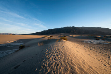 Mesquite Flat Sand Dunes in Death Valley, California