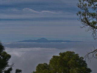 Fototapeta na wymiar View of island Tenerife with Pico del Teide through the branches of green Canary Island pine trees in a forest in Tamadaba Natural Park, Gran Canaria.