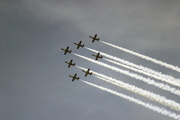 Airplanes performing an aerial acrobatics exhibition,