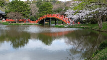 bridge in the park