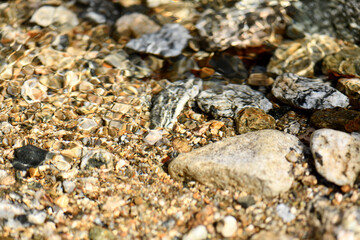 scenery nature river clear stream mountain stream water