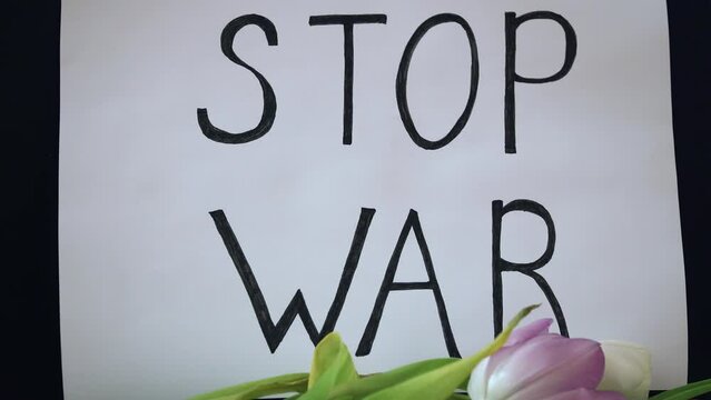 Simple inscription Stop war on motivational packard against armored conflict with flowers. Crisis, peace, stop aggression in whole world