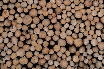 Empilement de rondins de bois