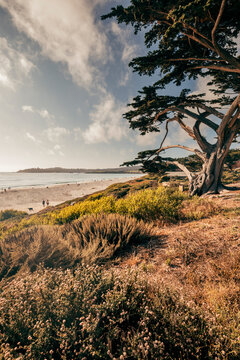 Sunset Over The Beach In Carmel By The Sea