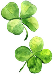 St. Patrick's Day four leaf clover, Watercolor illustration
