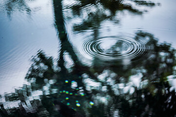 自然の芸術〜波紋〜