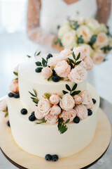 The wedding cake. Stylish happy newlyweds, elegant satisfied bride. Newlyweds gathering