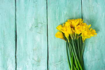 narcissus flowers on turquoise surface