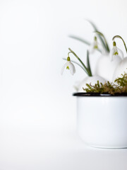 Snowdrops in a decorative egg shell.