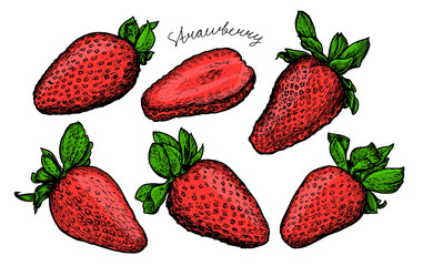 Sweet and fresh strawberry set. Red berry food vector illustration