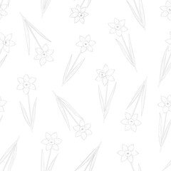 Fototapeta premium Seamless pattern daffodils spring flowers coloring vector illustration