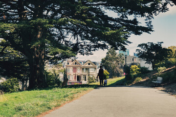 the painted ladies houses in the city of san francisco