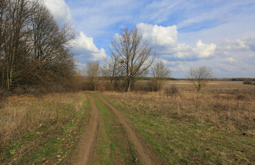 rut road in spring steppe