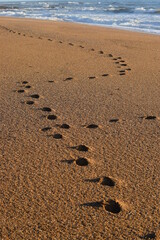 Spur im Sand