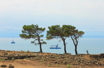 Fototapeta na wymiar Three pines on the mountain. Baku. Azerbaijan.