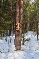 Forest on the Last Day of March